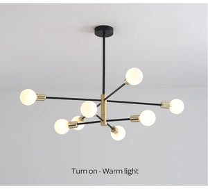 Ceiling Lights Nordic Black Chandeliers LED Lamp 4/6/8Light Home Lighting Indoor Pendant Ceiling Lamp for Bedroom Living Room