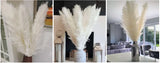 120cm Artificial Pampas Grass Bouquet Pampas Grass Long Dry Plant Decorative Wedding Home Room Christmas Decor Natural Flower