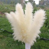 120cm Artificial Pampas Grass Bouquet Pampas Grass Long Dry Plant Decorative Wedding Home Room Christmas Decor Natural Flower