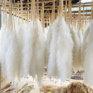 120cm Artificial Pampas Grass Bouquet Pampas Grass Long Dry Plant Decorative Wedding Home Room Christmas Decor Natural Flower